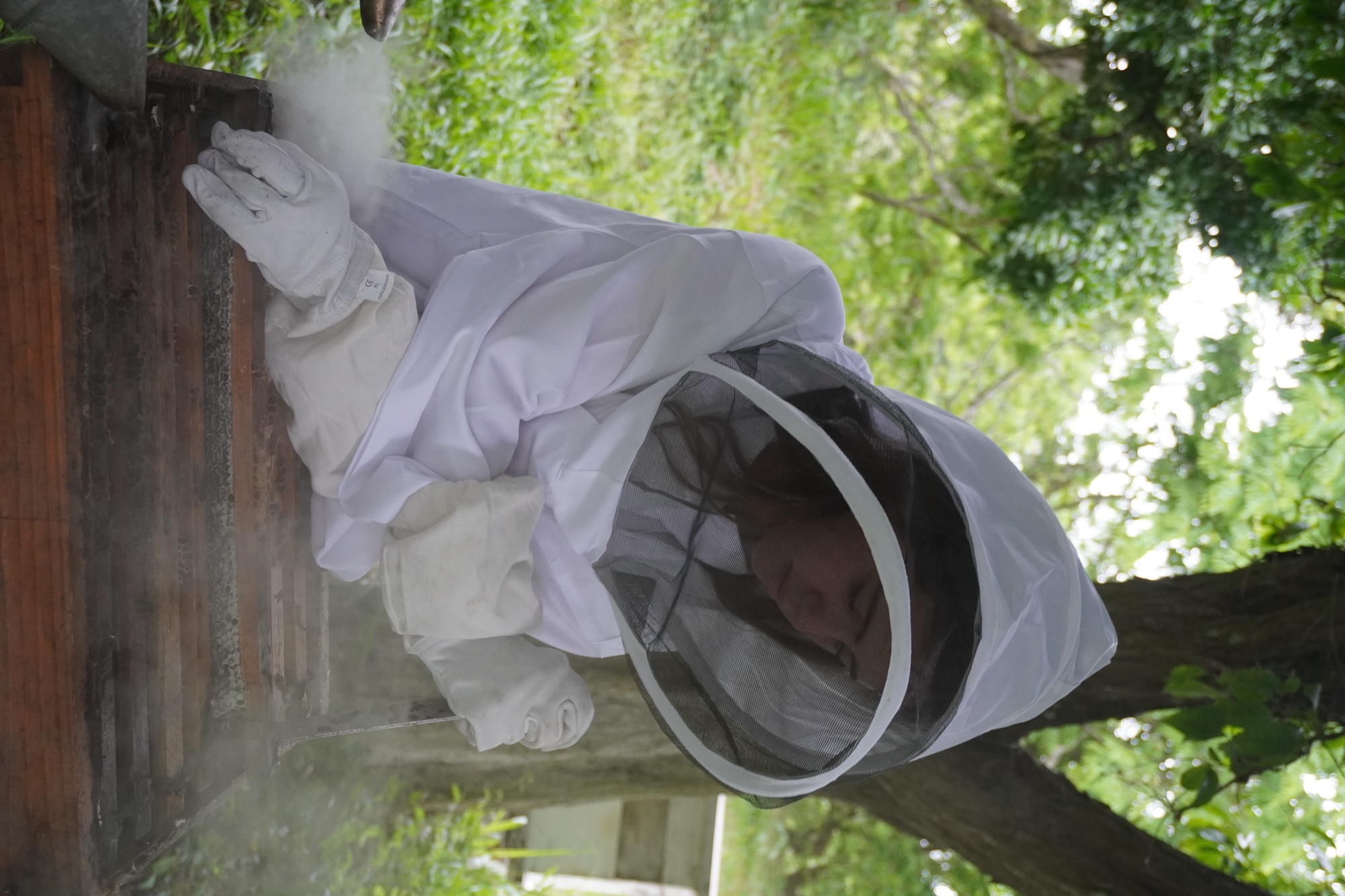 Alexa inspeccionando una colmena con humo en el apiario